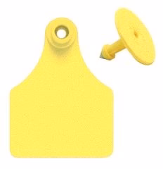 Allflex Global Yellow Large Numbered Ear Tags