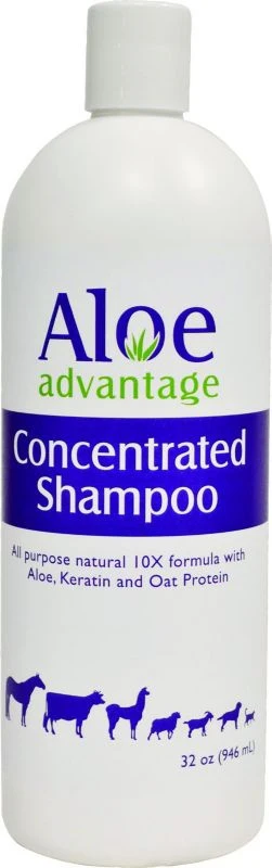 19443-aloe-advantage-concentrated-shampoo-10x-qt-1.webp Aloe Advantage Concentrated Shampoo 10X Qt