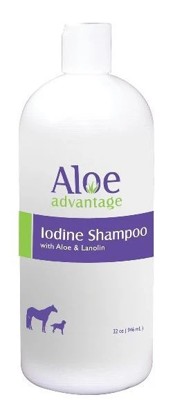 19449-aloe-iodine-shampoo-32oz-1.webp Aloe Iodine Shampoo 32oz