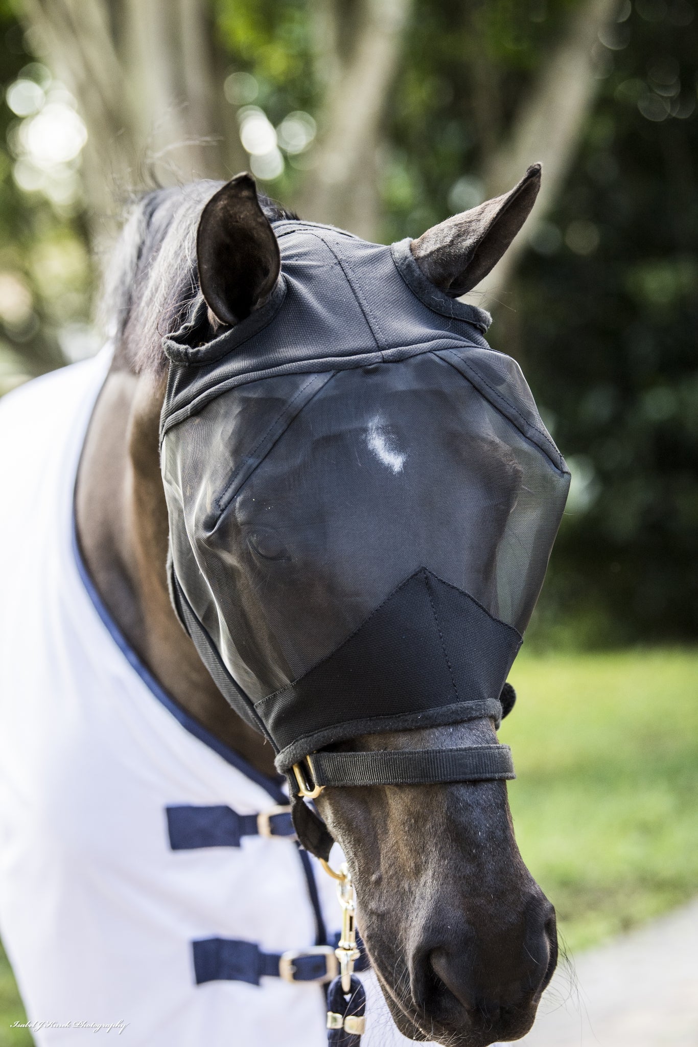 2491-defender-comfort-fly-mask-without-ears-2.jpg Defender Comfort Fly Mask without Ears