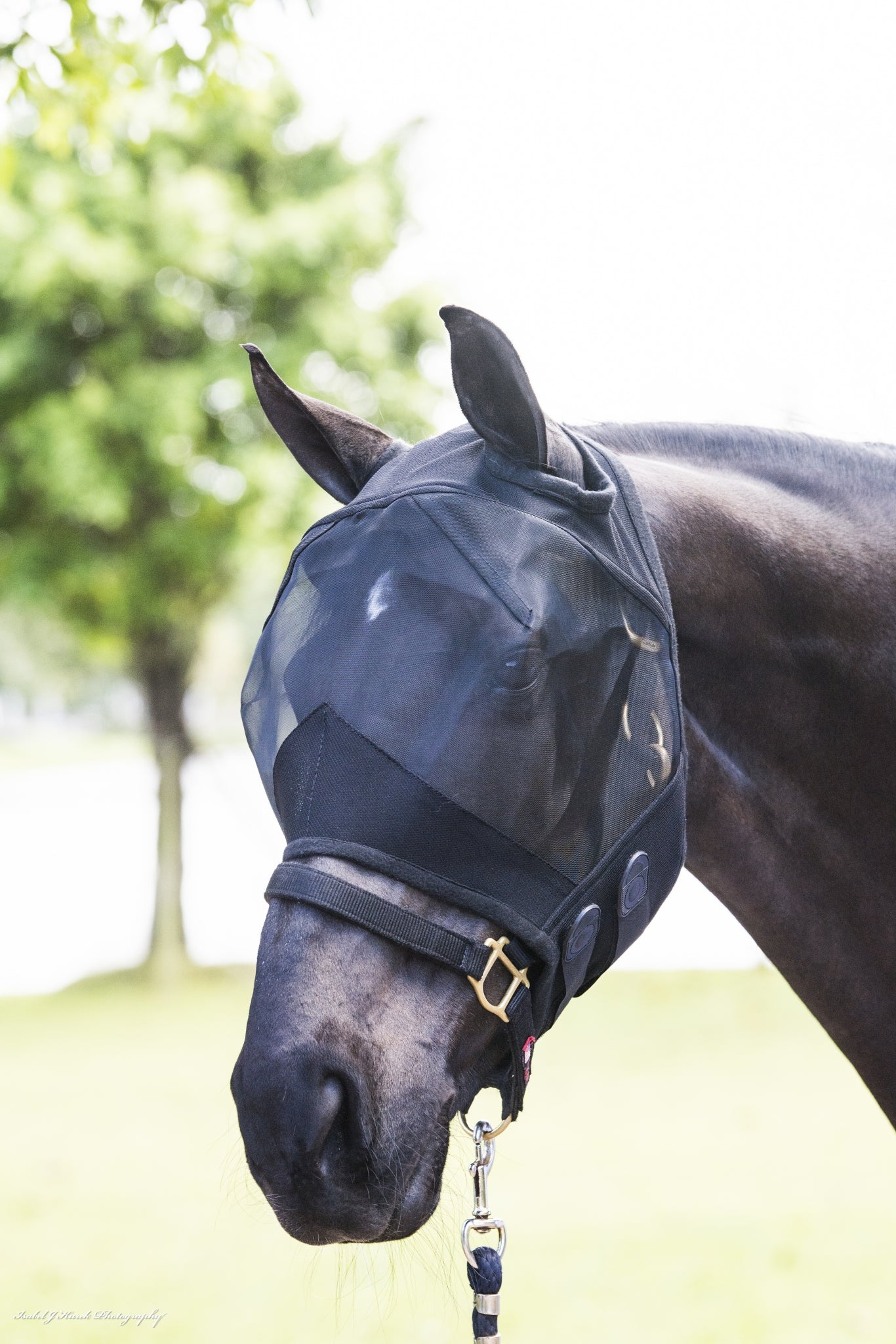 2491-defender-comfort-fly-mask-without-ears-3.jpg Defender Comfort Fly Mask without Ears