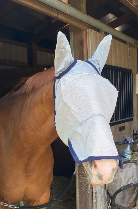 2494-defender-fly-mask-long-nose-with-ears-and-reflec-1.webp Defender Fly Mask Long Nose with Ears and Reflec