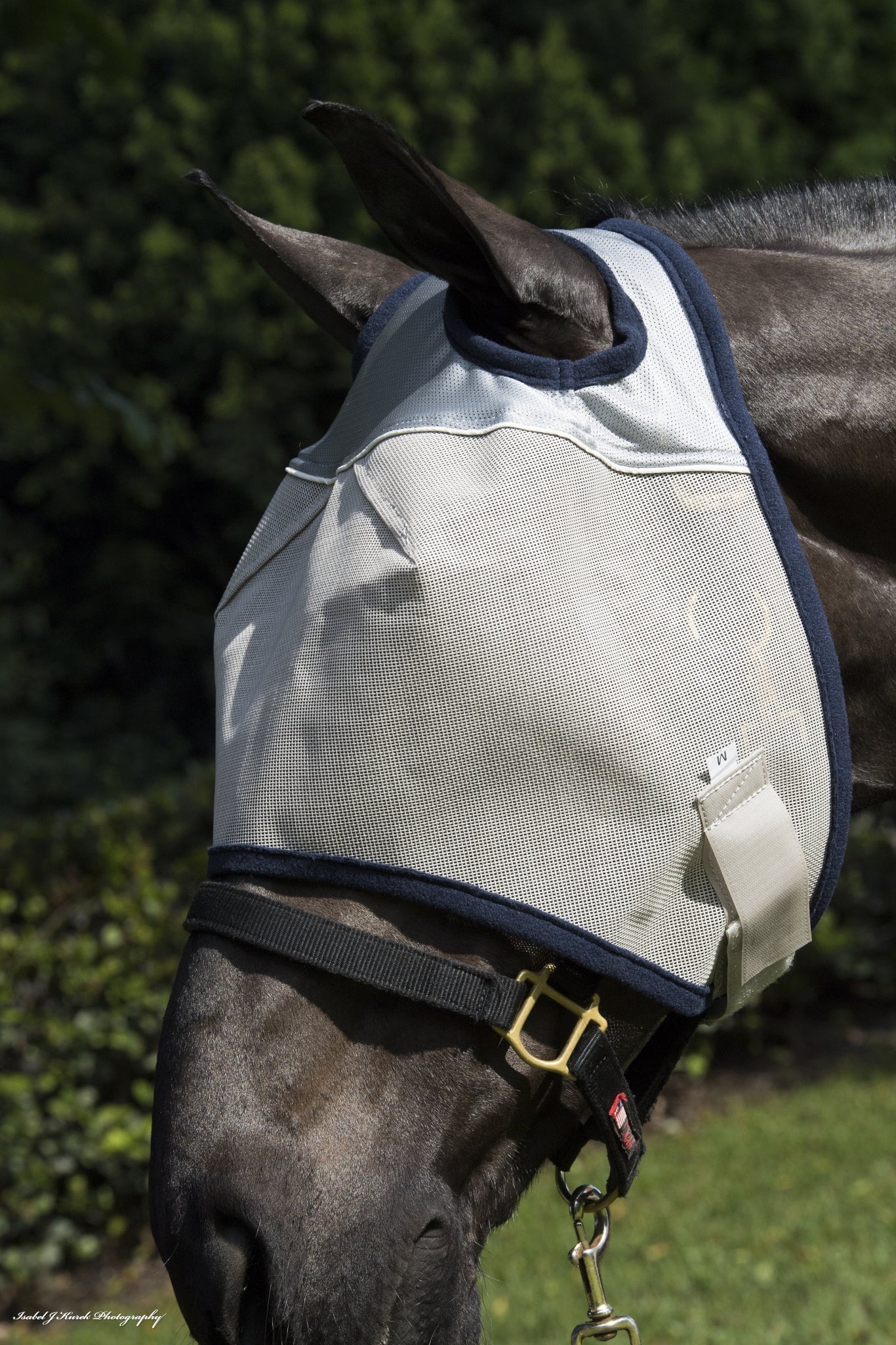 2502-defender-fly-mask-with-reflective-trim-1.jpg Defender Fly Mask with Reflective Trim