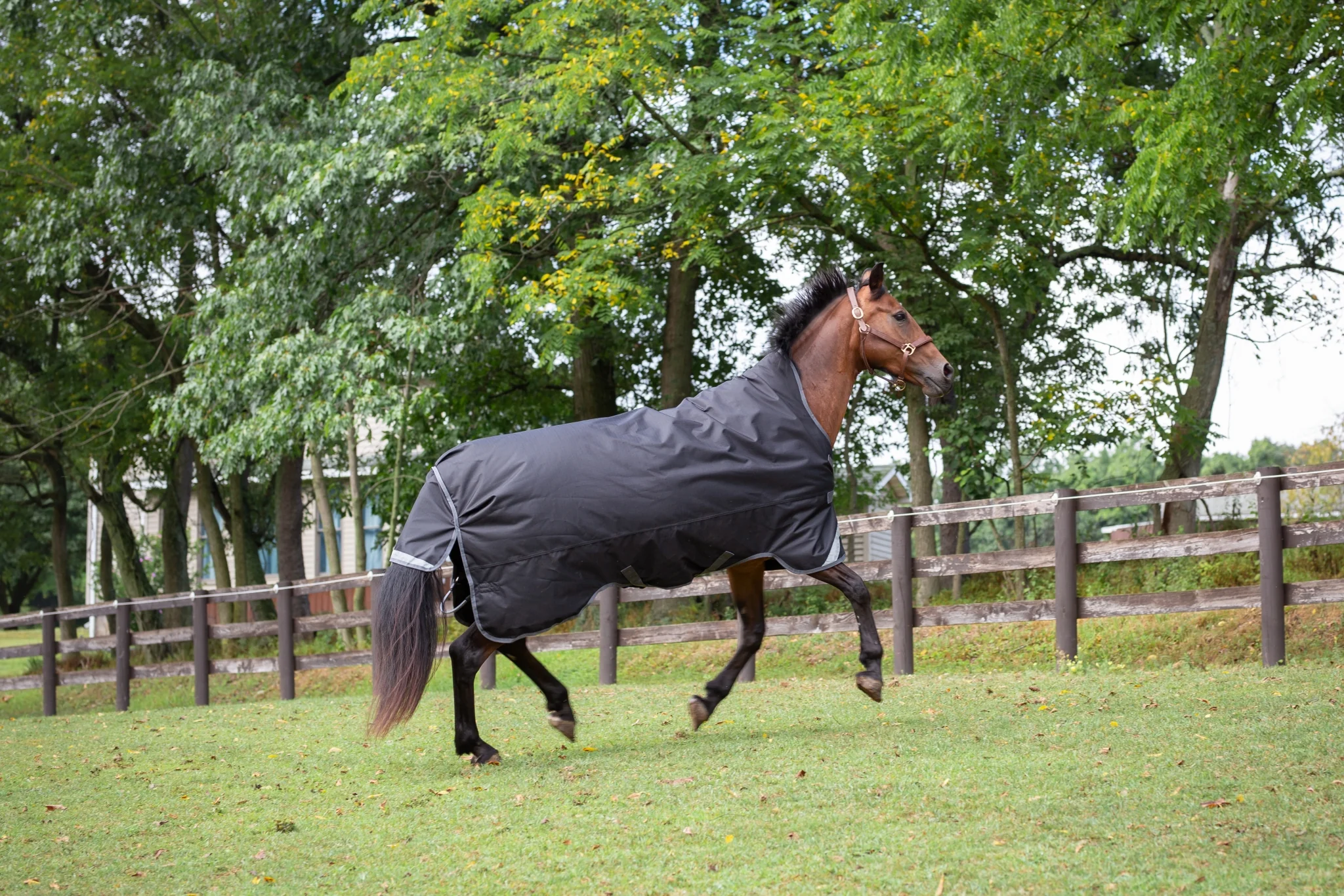 2530-defender-titanium-1200d-high-neck-sheet-2.webp Defender Titanium 1200D High Neck Sheet