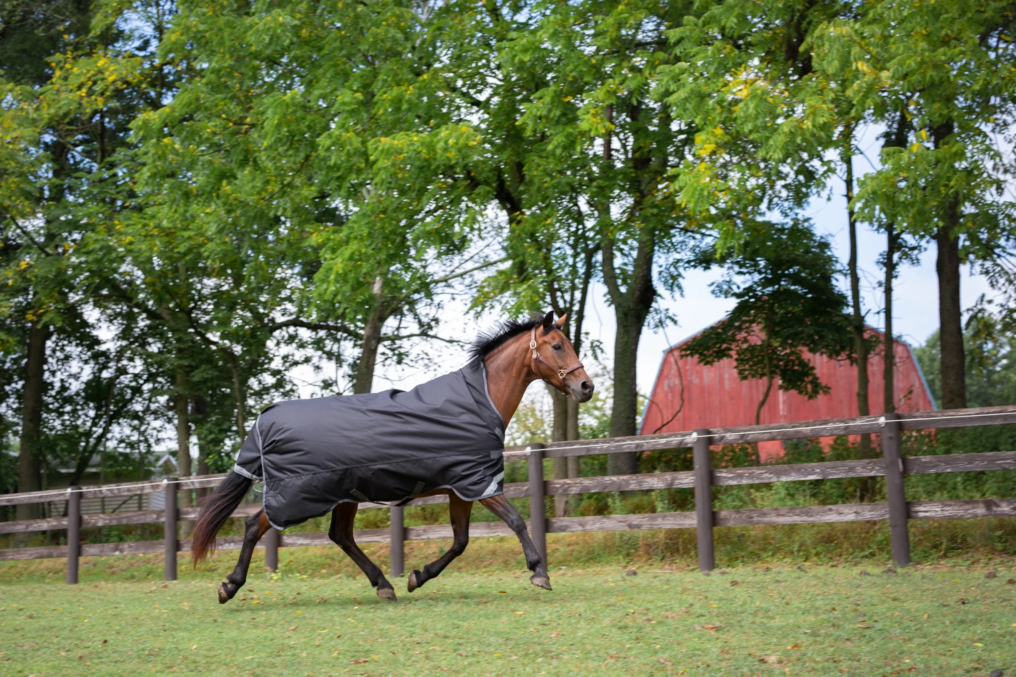 2530-defender-titanium-1200d-high-neck-sheet-3.webp Defender Titanium 1200D High Neck Sheet