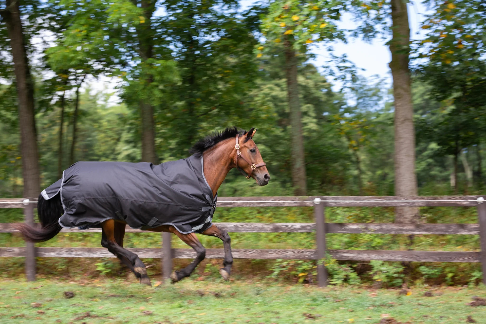2530-defender-titanium-1200d-high-neck-sheet-4.webp Defender Titanium 1200D High Neck Sheet