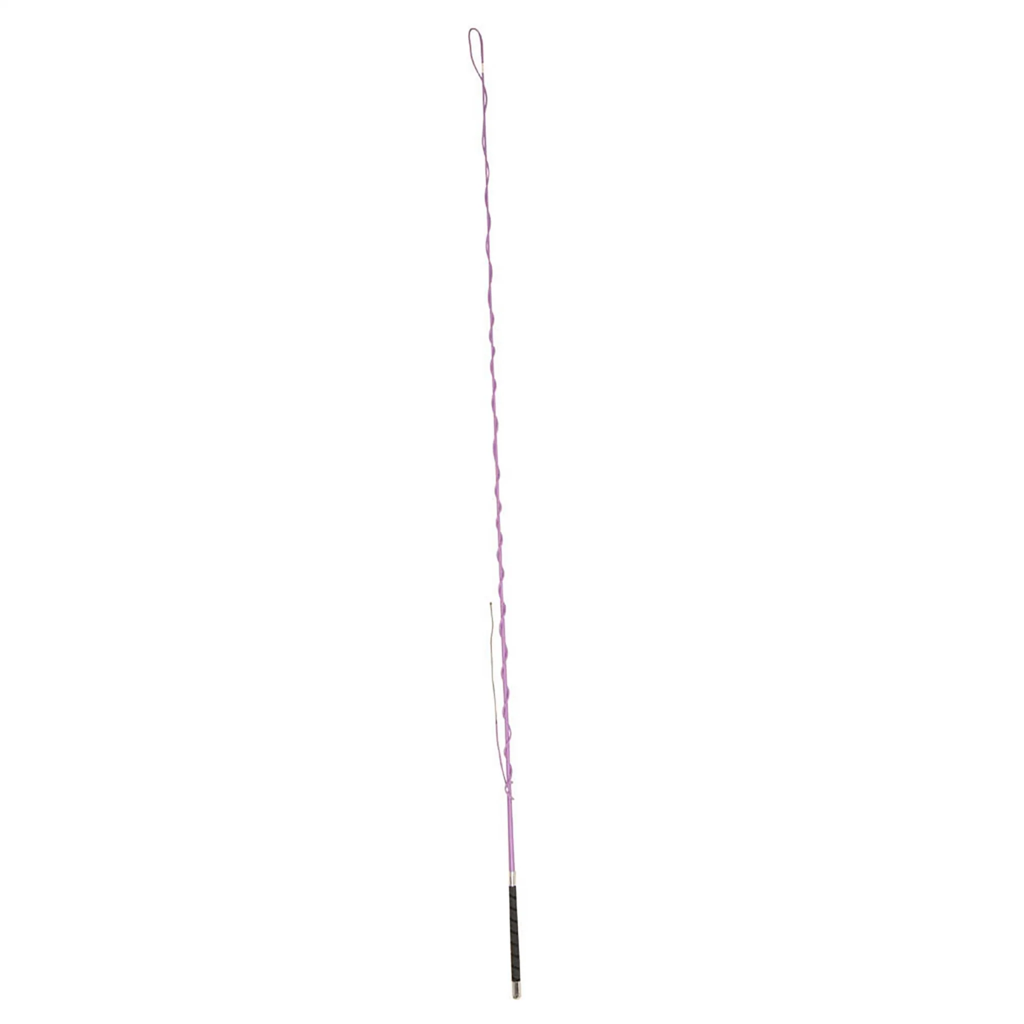 Dublin Lunge Whip with Grip Handle