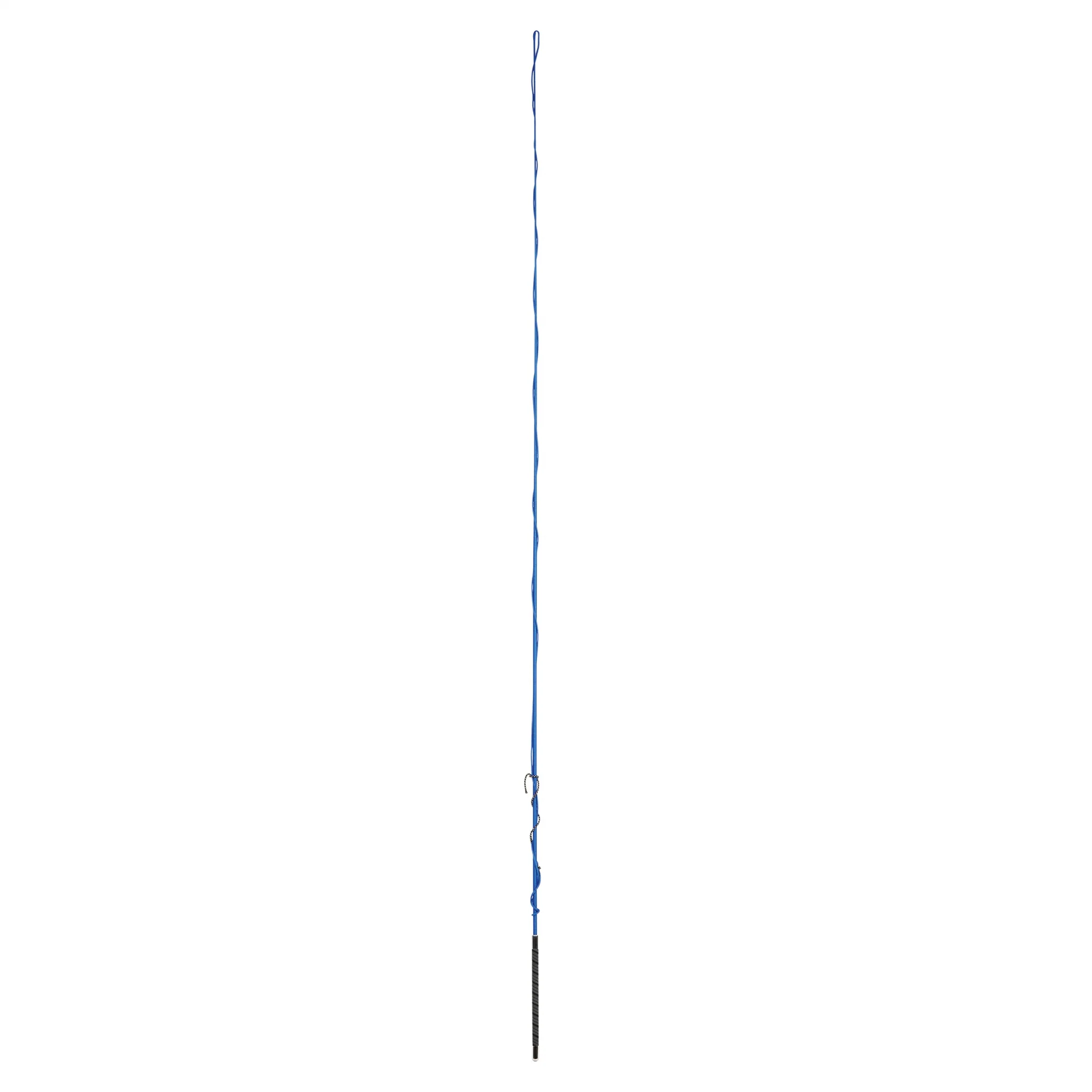 Dublin Lunge Whip with Grip Handle