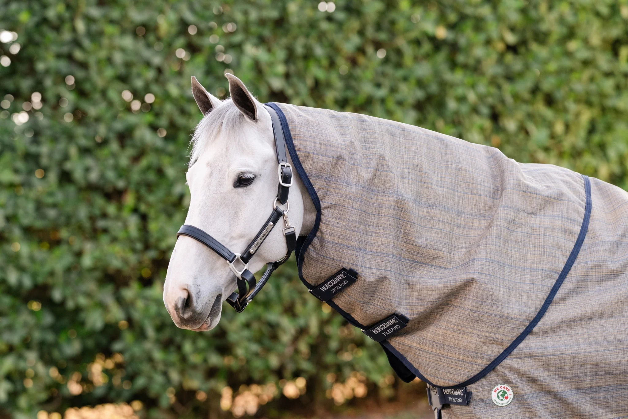 Amigo 900D Revive Plus Turnout 50g