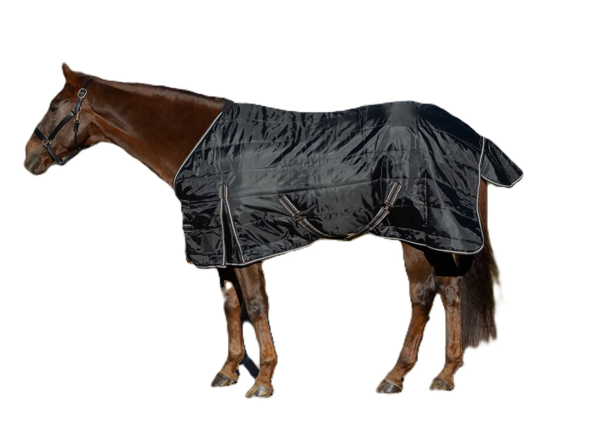 3428-equinavia-norse-gus-stable-blanket-100g-1.webp Equinavia Norse Gus Stable Blanket 100g