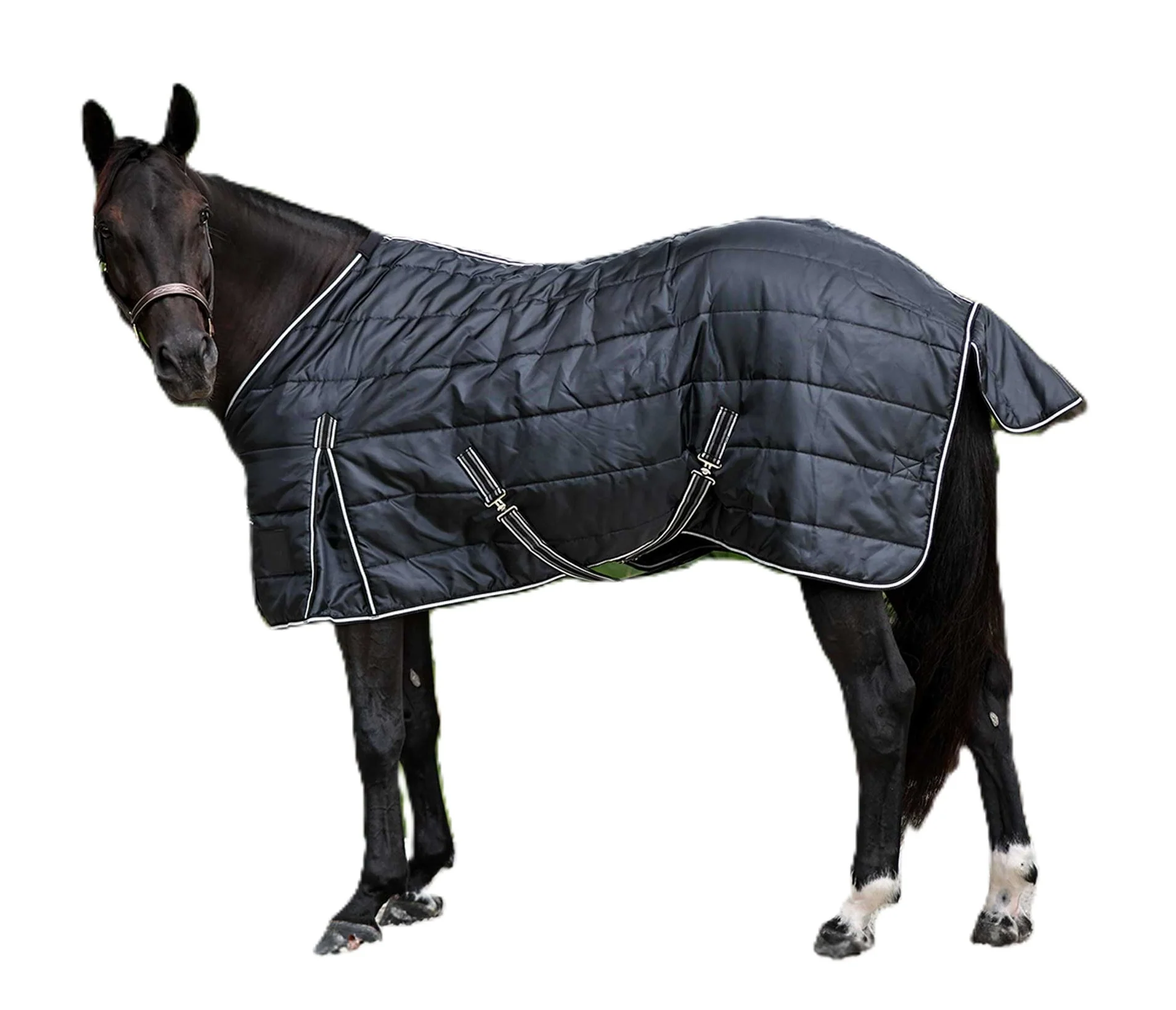 3436-equinavia-norse-gus-stable-blanket-200g-1.webp Equinavia Norse Gus Stable Blanket 200g