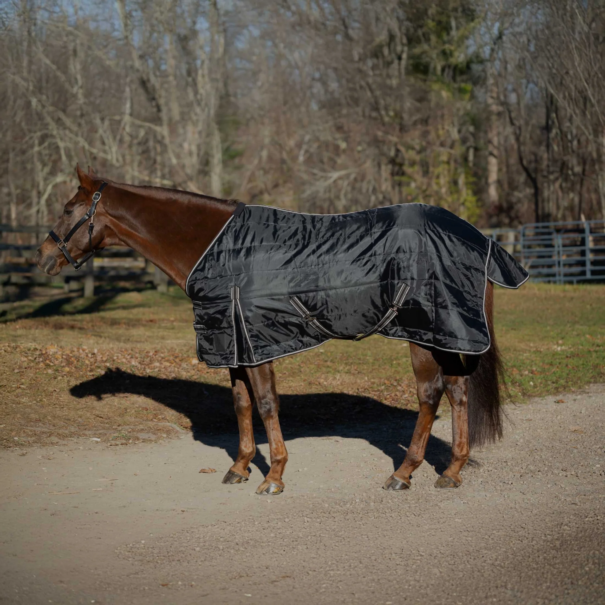 Equinavia Norse Gus Stable Blanket 200g
