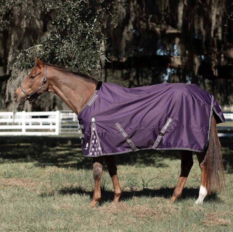 Equinavia Norse Turnout Sheet