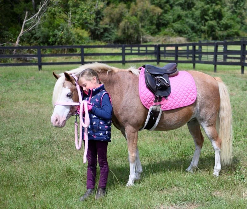 Gatsby Basic All-Purpose Saddle Pad