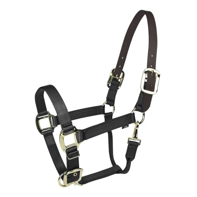 Gatsby Gold Nylon Breakaway Halter