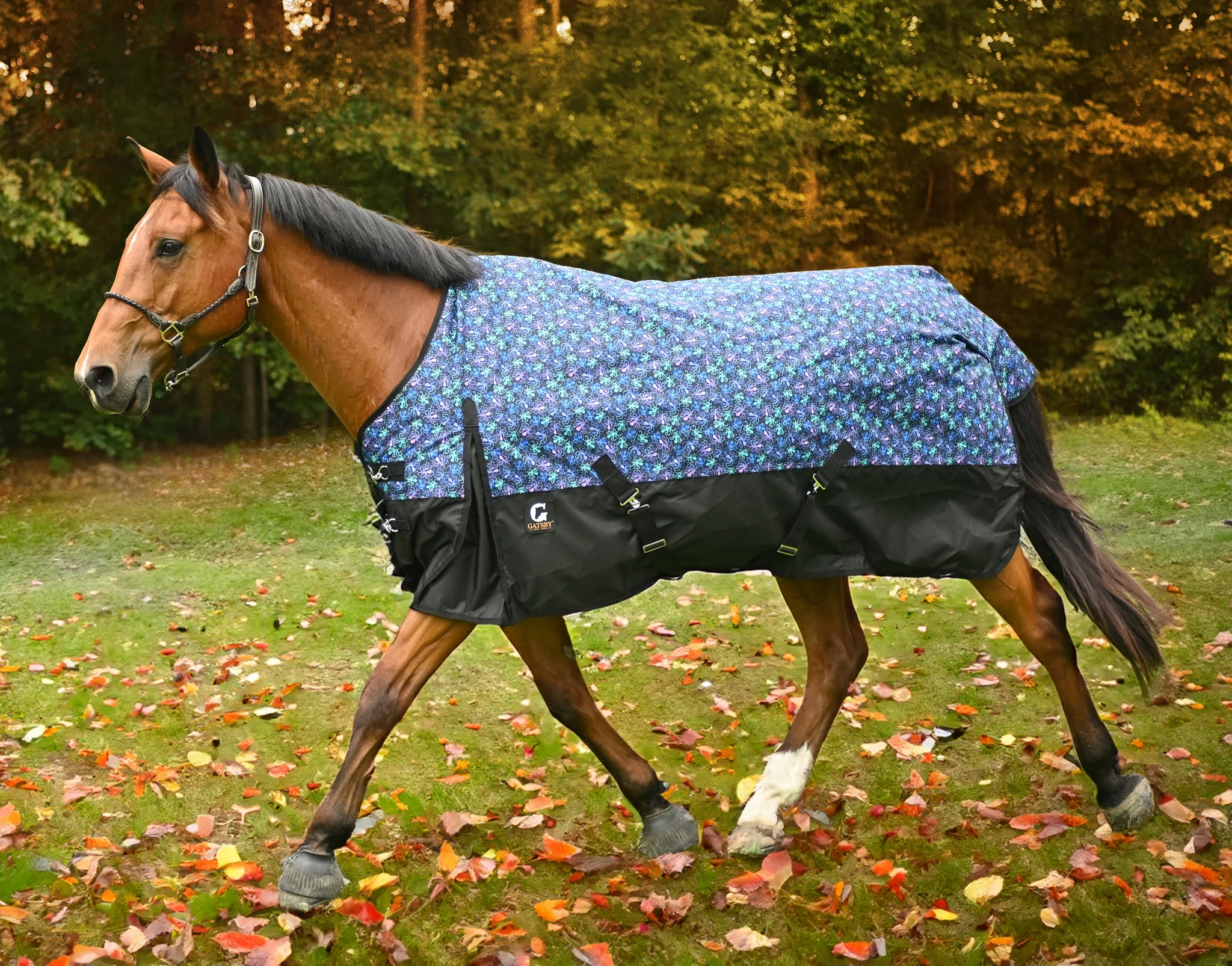 Gatsby Guard 600D Waterproof Turnout Sheet