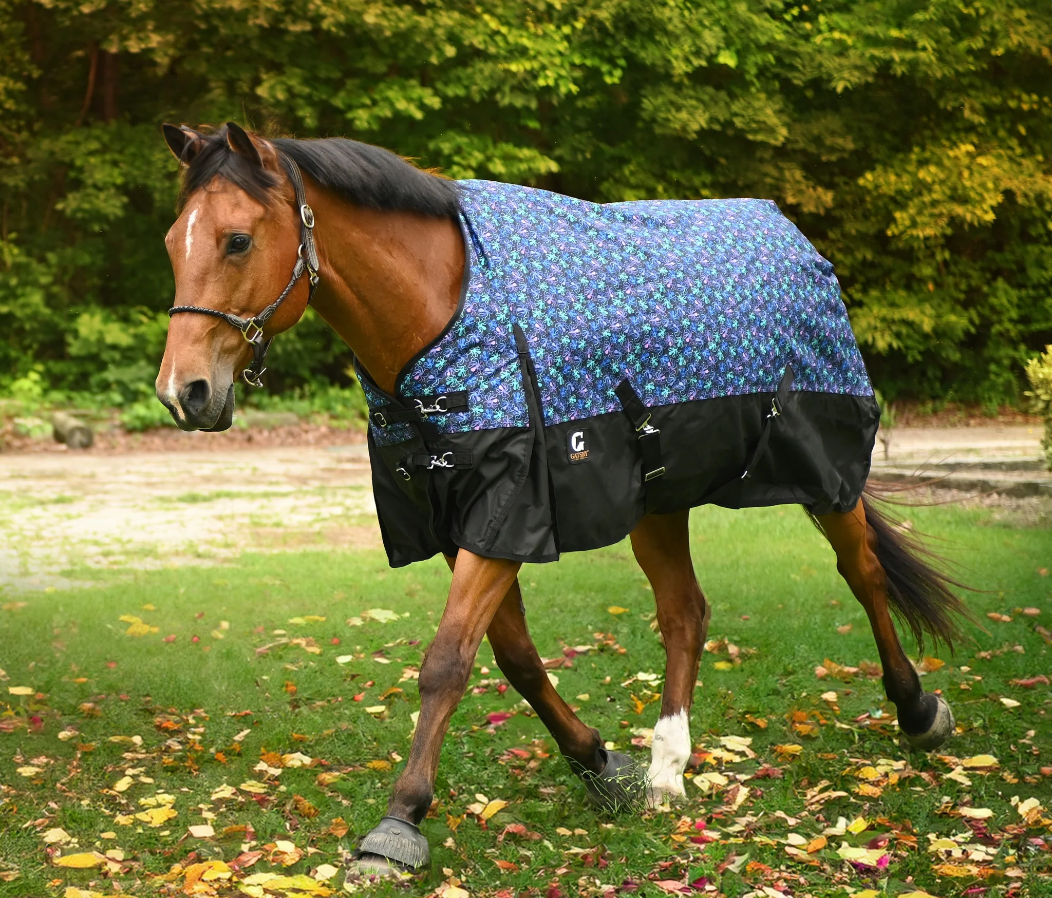 Gatsby Guard 600D Waterproof Turnout Sheet