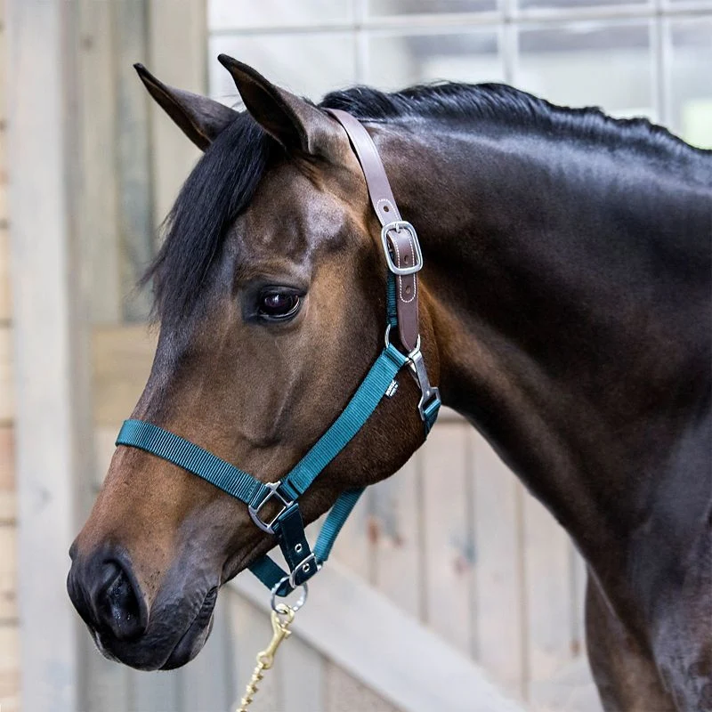 4398-gatsby-nylon-breakaway-halter-14.webp Gatsby Nylon Breakaway Halter