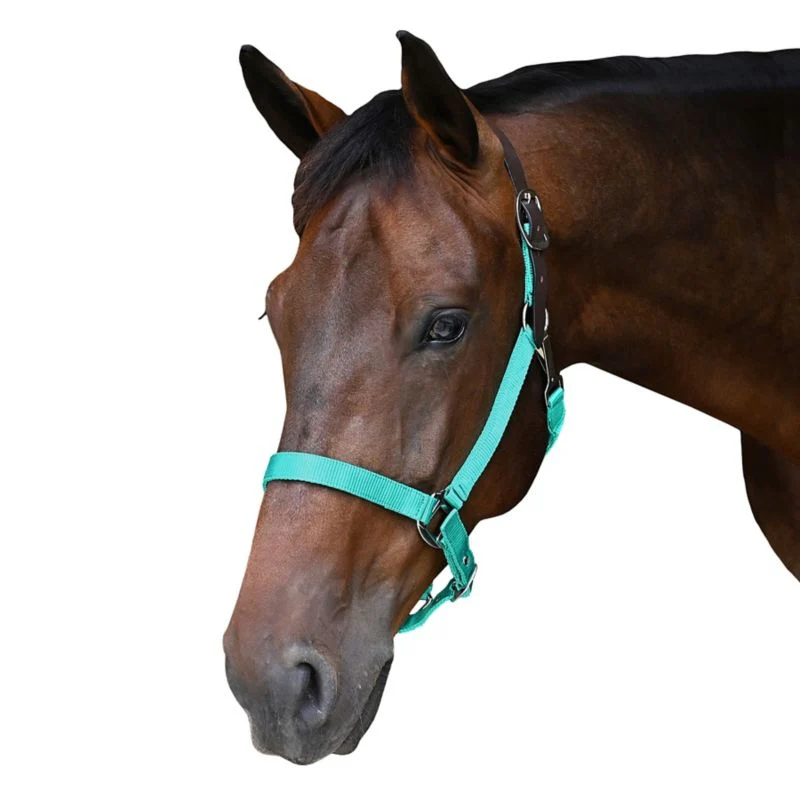 4398-gatsby-nylon-breakaway-halter-18.webp Gatsby Nylon Breakaway Halter