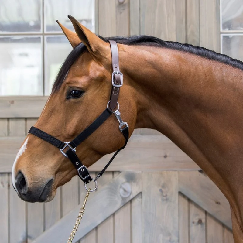 4398-gatsby-nylon-breakaway-halter-19.webp Gatsby Nylon Breakaway Halter
