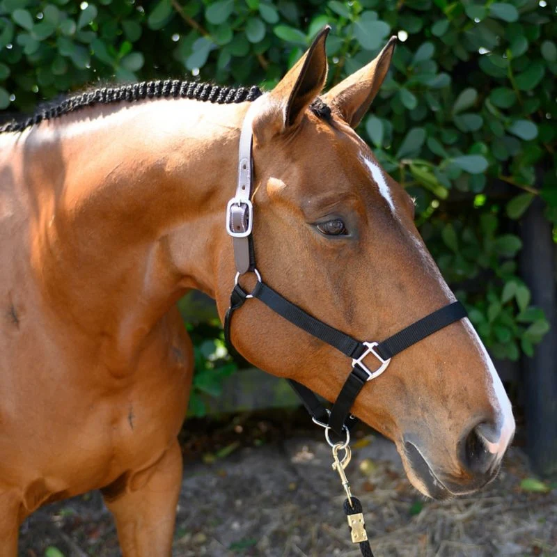 4398-gatsby-nylon-breakaway-halter-20.webp Gatsby Nylon Breakaway Halter