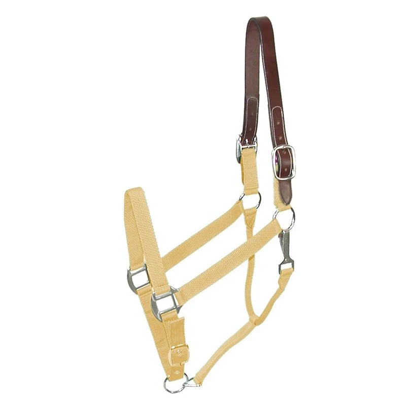 4398-gatsby-nylon-breakaway-halter-21.webp Gatsby Nylon Breakaway Halter