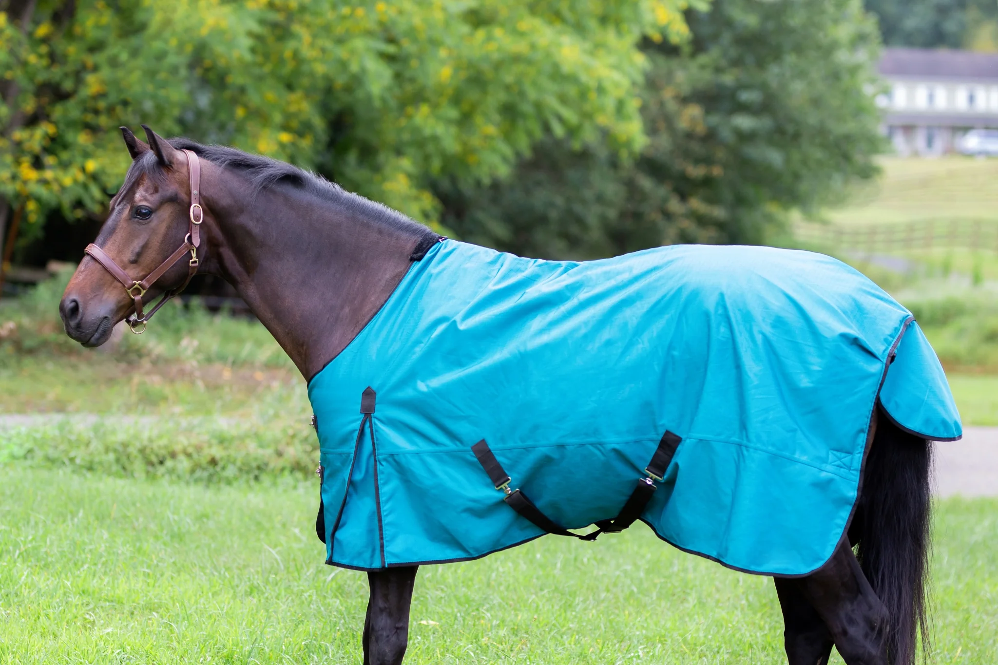 4497-gatsby-shield-1200d-250g-waterproof-turnout-blanket-4.webp Gatsby Shield 1200D 250g Waterproof Turnout Blanket