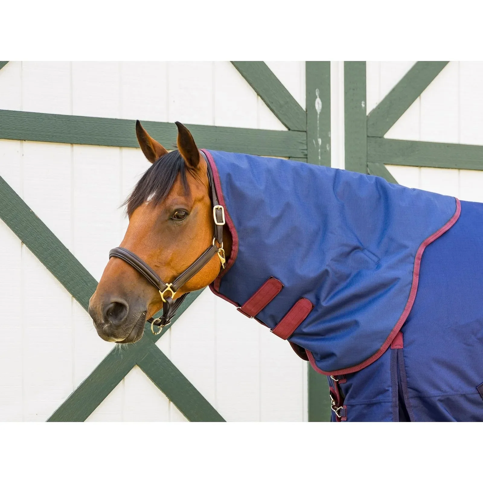 4822-highlander-plus-300g-hood-1.webp Highlander Plus 300g Hood