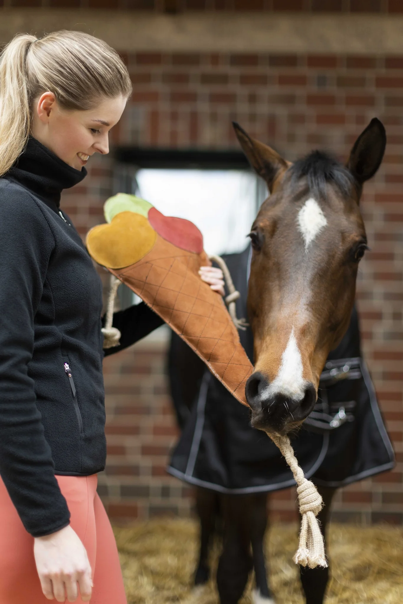 HKM Ice Cream Toy For Horses