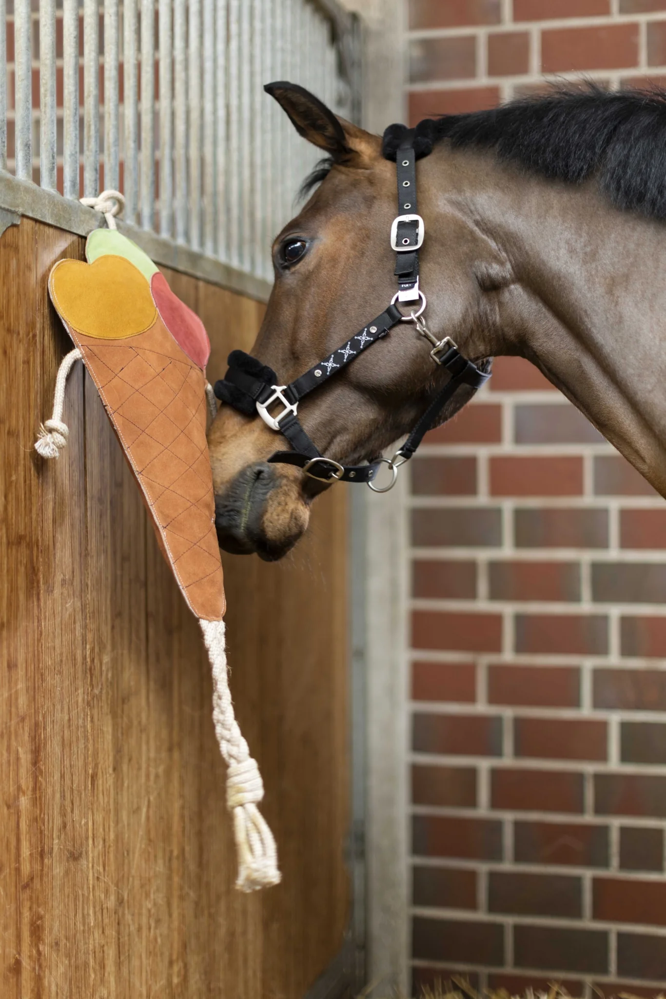 HKM Ice Cream Toy For Horses