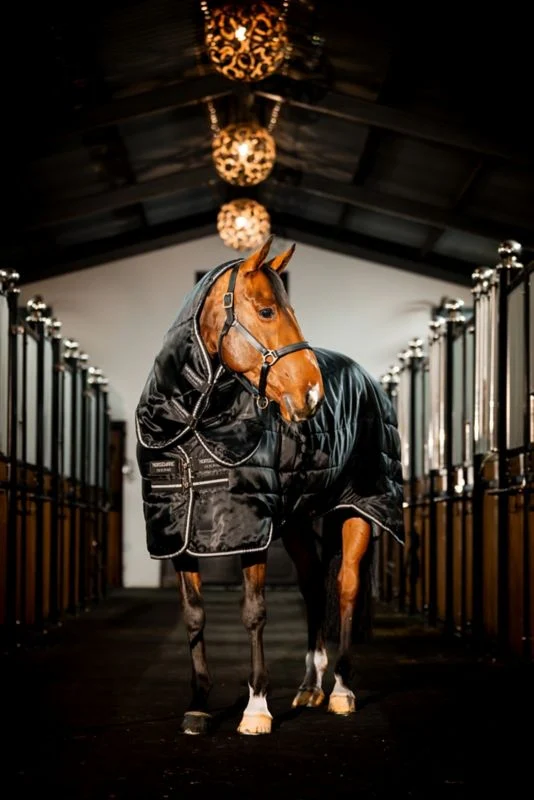 5191-horseware-easy-layer-stable-plus-400g-2.webp Horseware Easy-Layer Stable Plus 400g