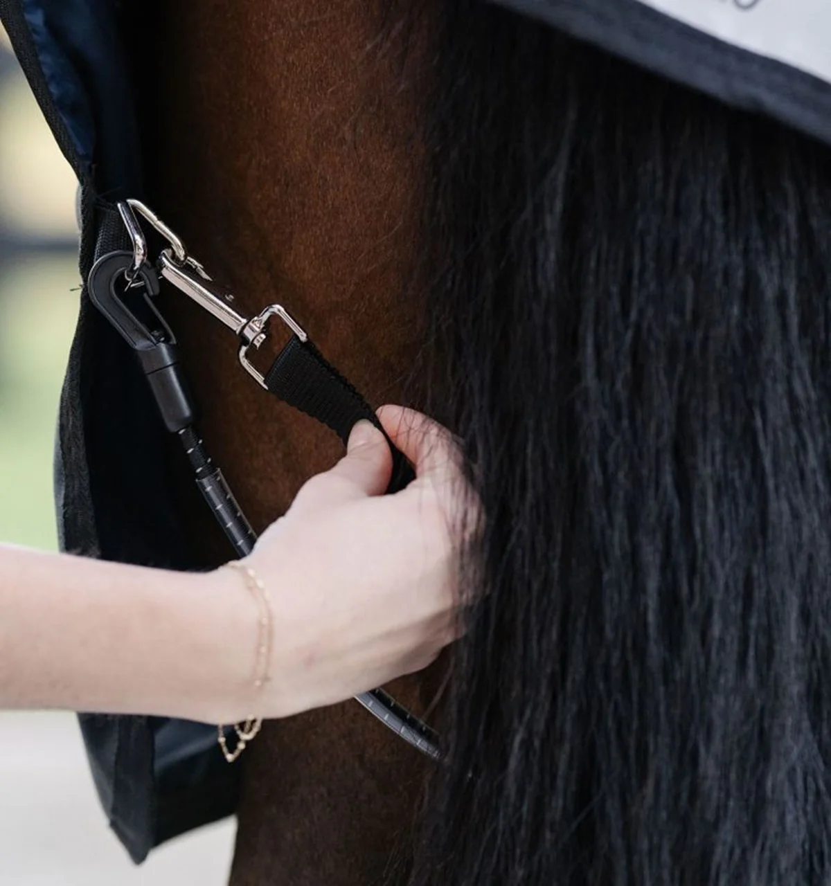 5200-horseware-elasticated-leg-straps-1.webp Horseware Elasticated Leg Straps
