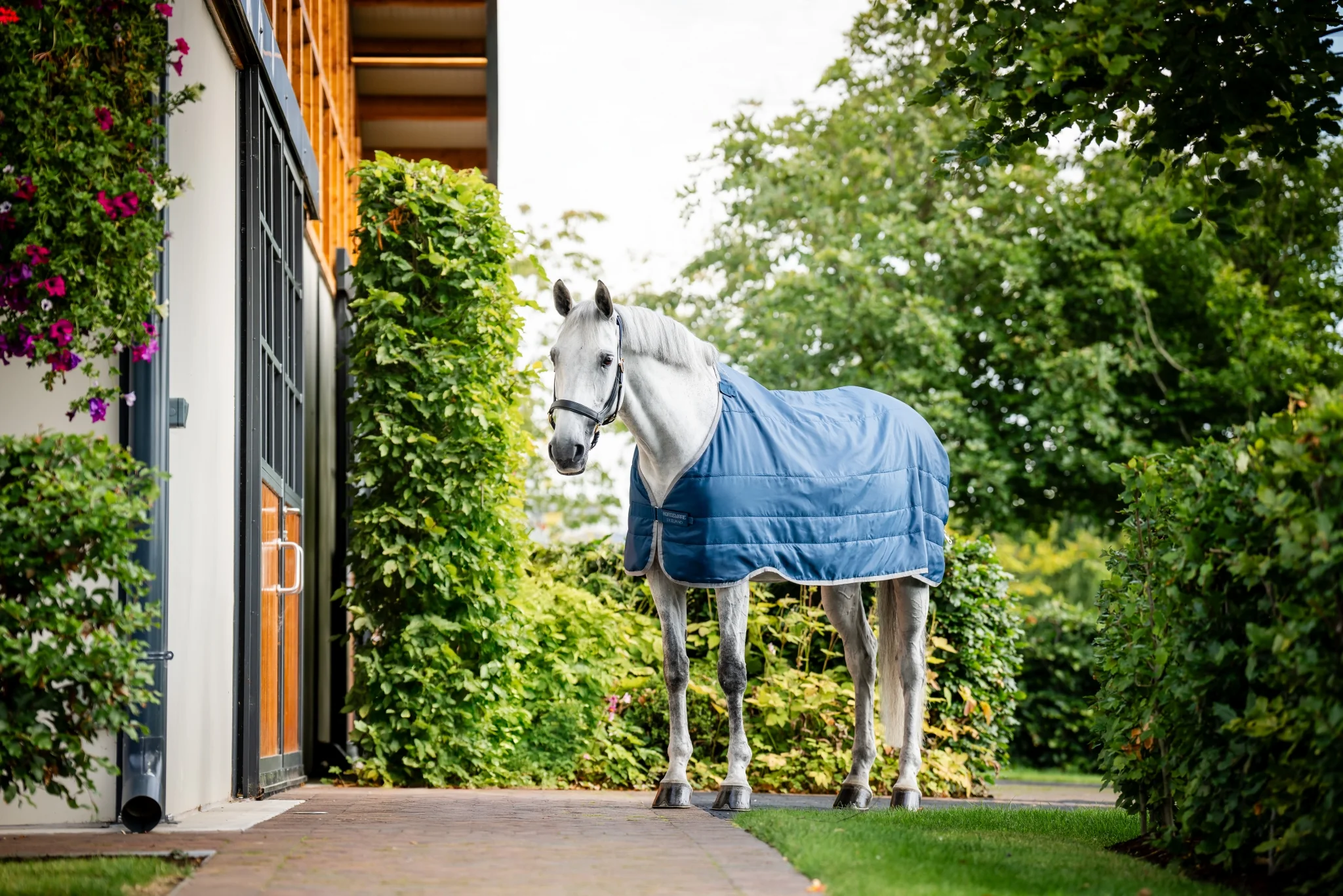 5234-horseware-ionic-therapy-liner-200g-1.webp Horseware Ionic Therapy Liner 200g