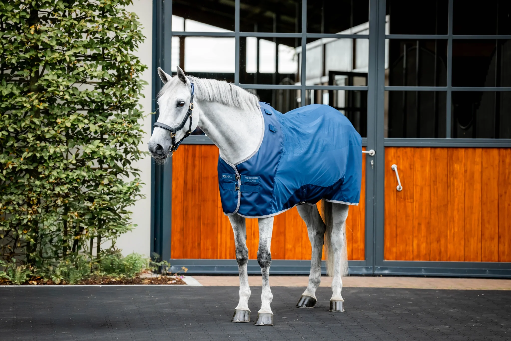 5252-horseware-ionic-therapy-mesh-cooler-1.webp Horseware Ionic Therapy Mesh Cooler