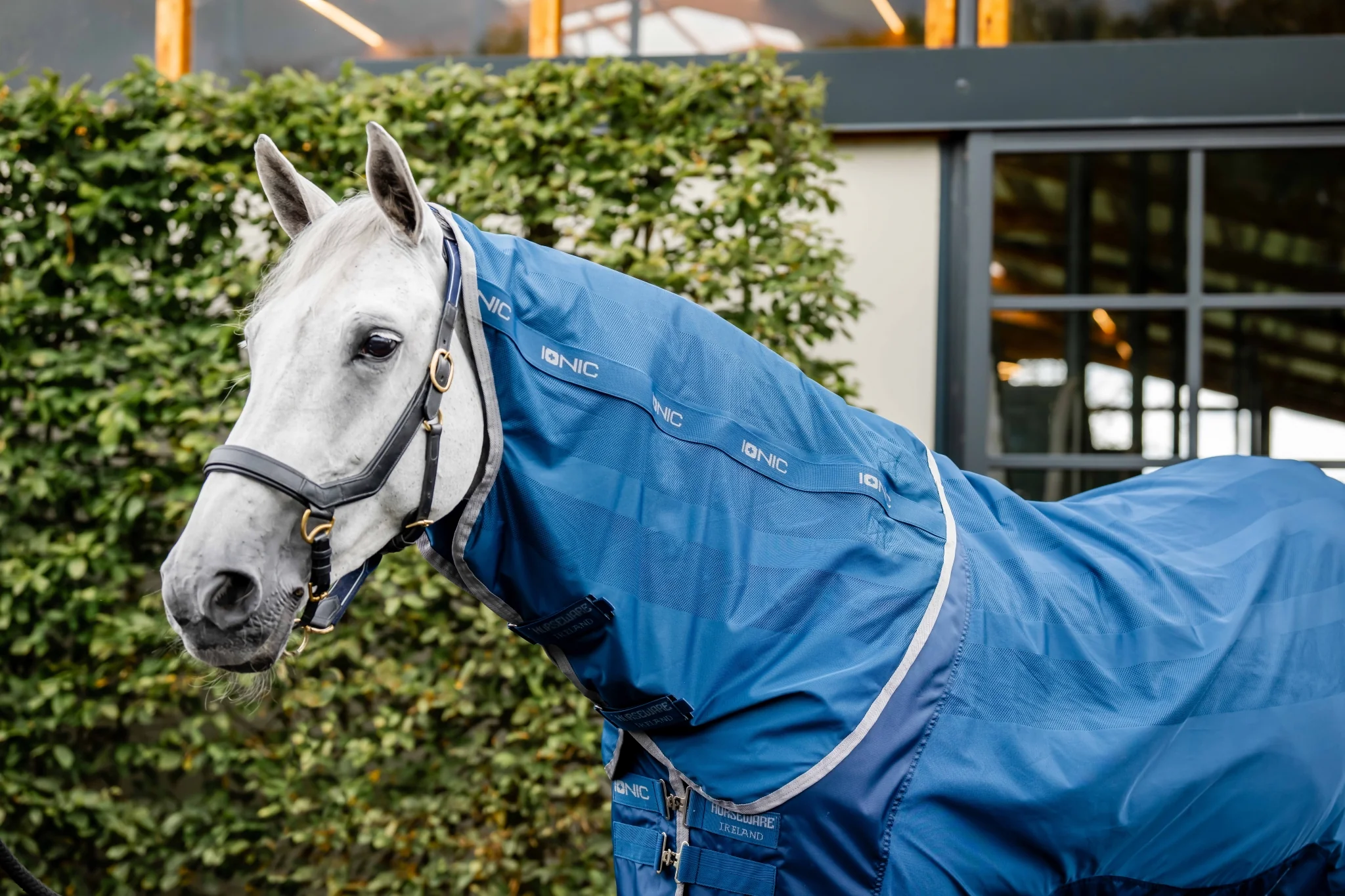 5261-horseware-ionic-therapy-mesh-cooler-hood-1.webp Horseware Ionic Therapy Mesh Cooler Hood