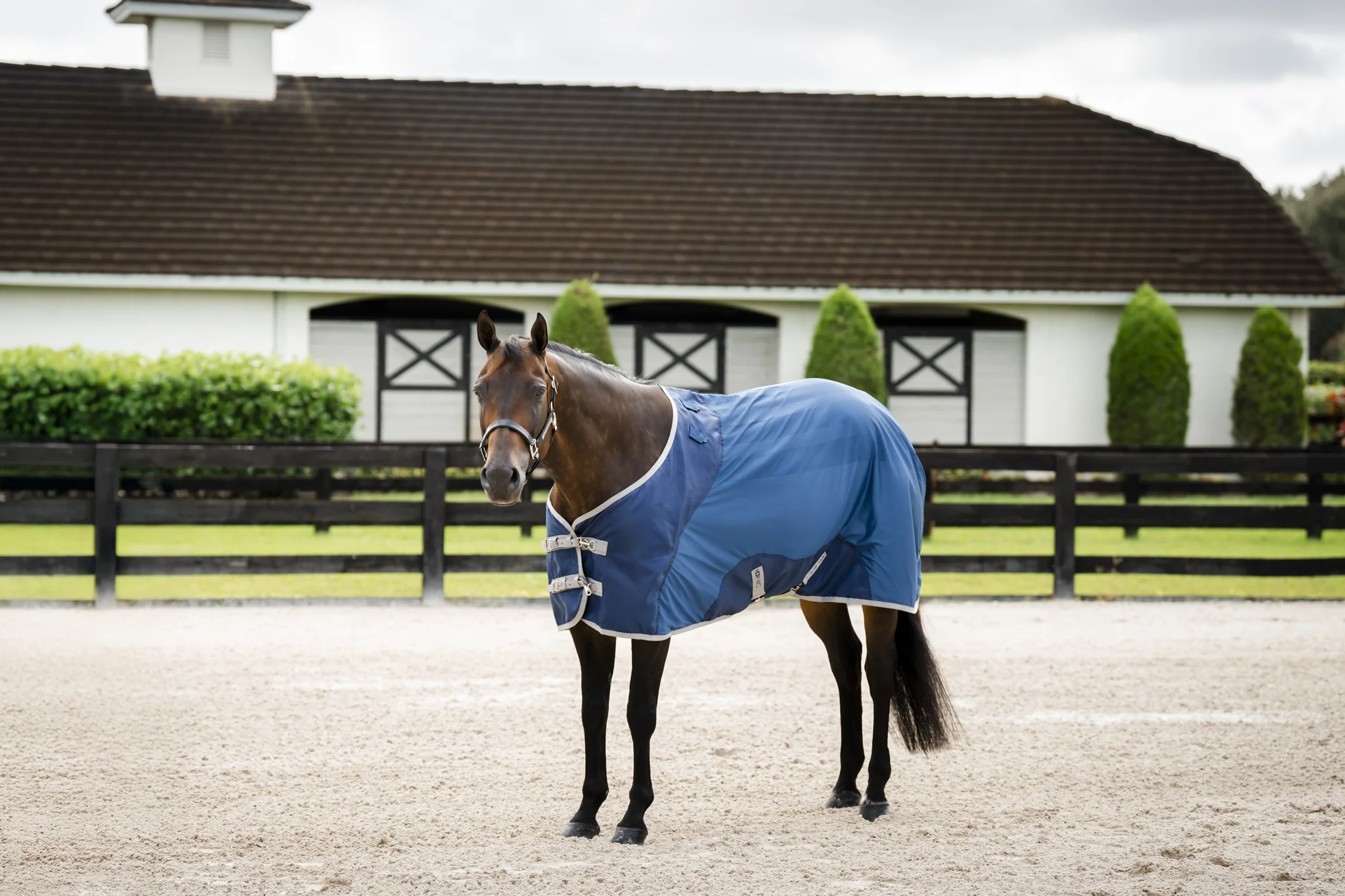 5266-horseware-ionic-therapy-quarter-horse-mesh-cooler-1.webp Horseware Ionic Therapy Quarter Horse Mesh Cooler