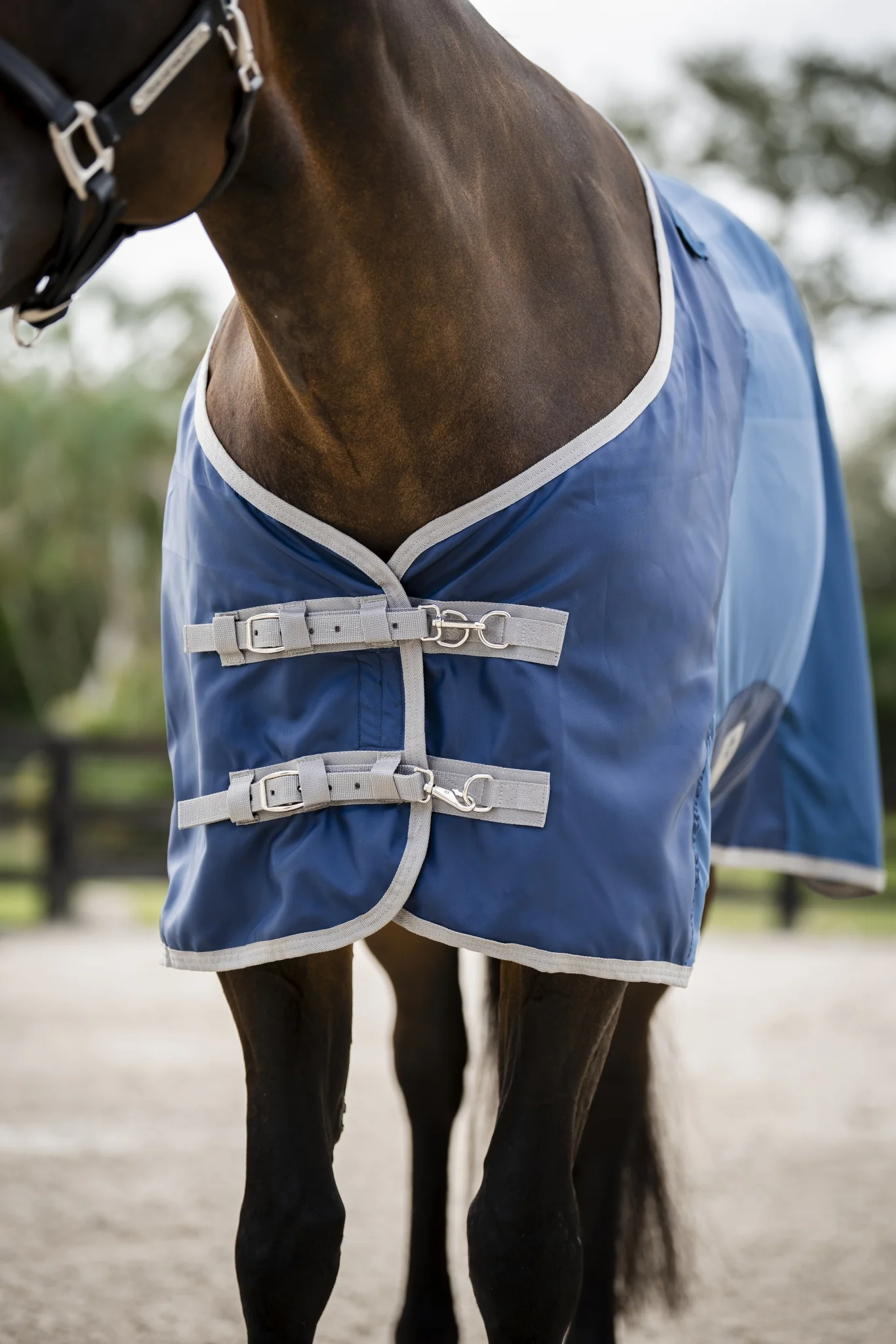 5266-horseware-ionic-therapy-quarter-horse-mesh-cooler-2.webp Horseware Ionic Therapy Quarter Horse Mesh Cooler