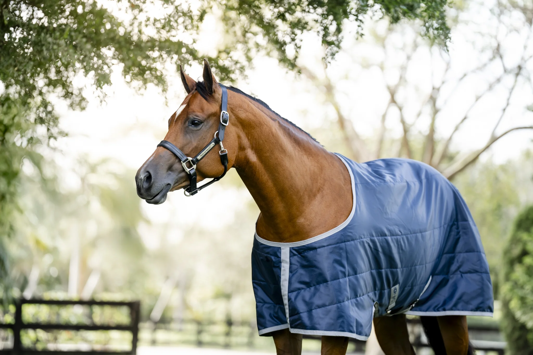 5275-horseware-ionic-therapy-quarter-horse-stable-50g-1.webp Horseware Ionic Therapy Quarter Horse Stable 50g