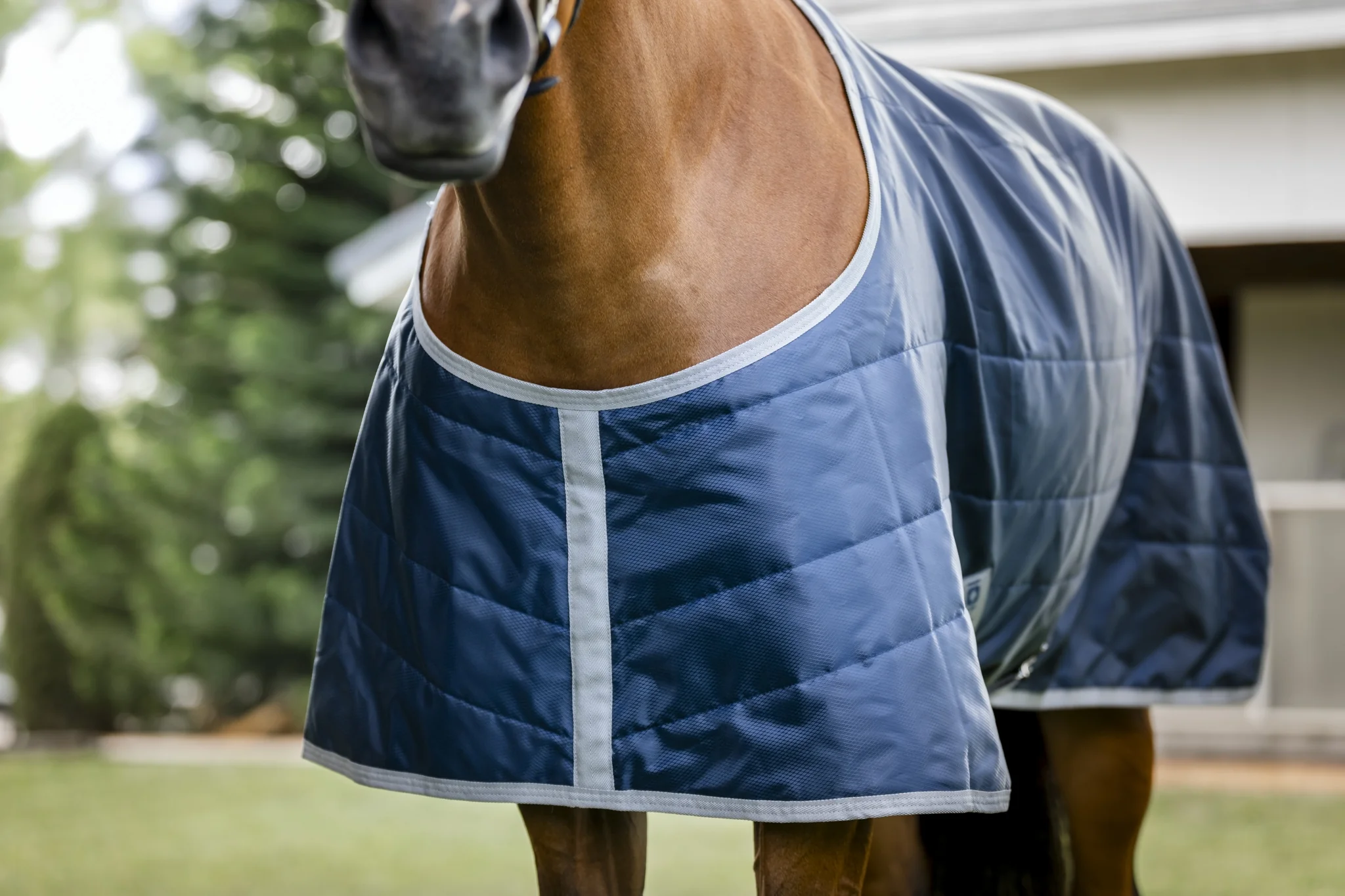 5275-horseware-ionic-therapy-quarter-horse-stable-50g-2.webp Horseware Ionic Therapy Quarter Horse Stable 50g
