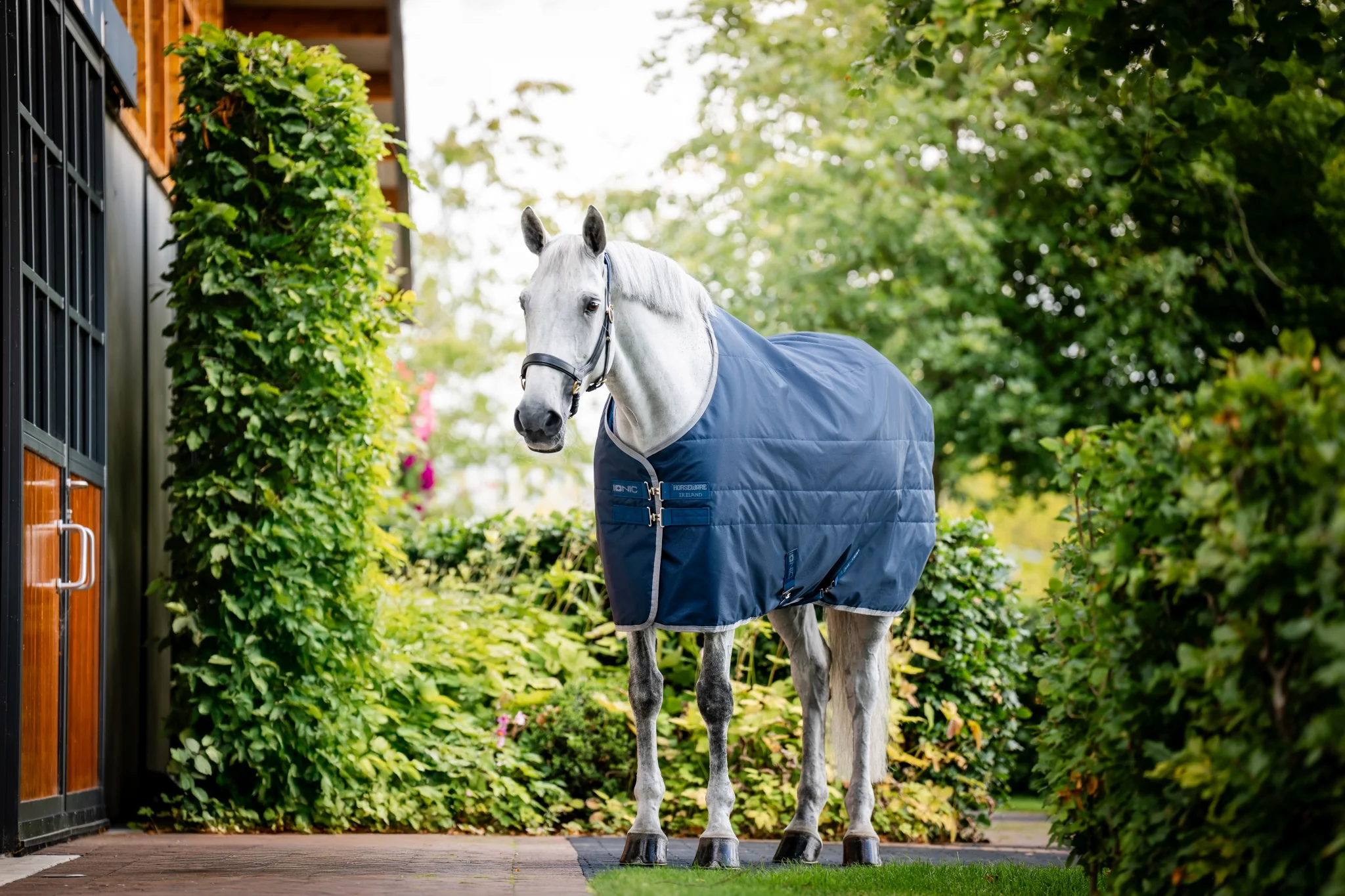 5284-horseware-ionic-therapy-stable-50g-1.webp Horseware Ionic Therapy Stable 50g