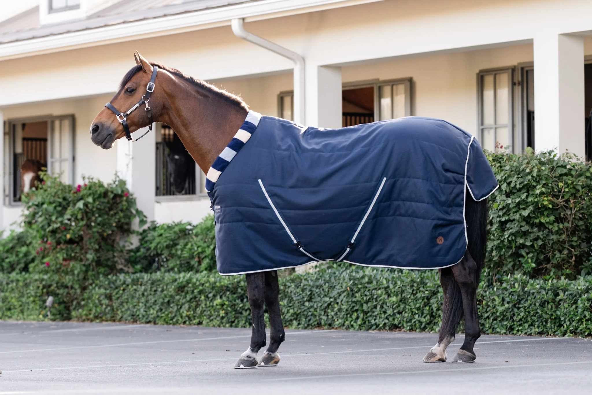 5322-horseware-newmarket-cozy-stable-100g-1.webp Horseware Newmarket Cozy Stable 100g