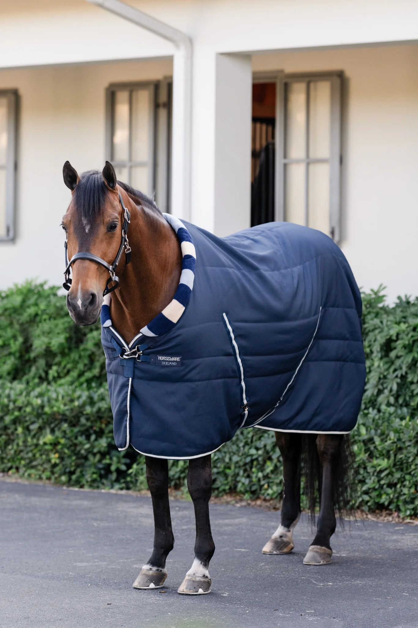 5322-horseware-newmarket-cozy-stable-100g-2.webp Horseware Newmarket Cozy Stable 100g
