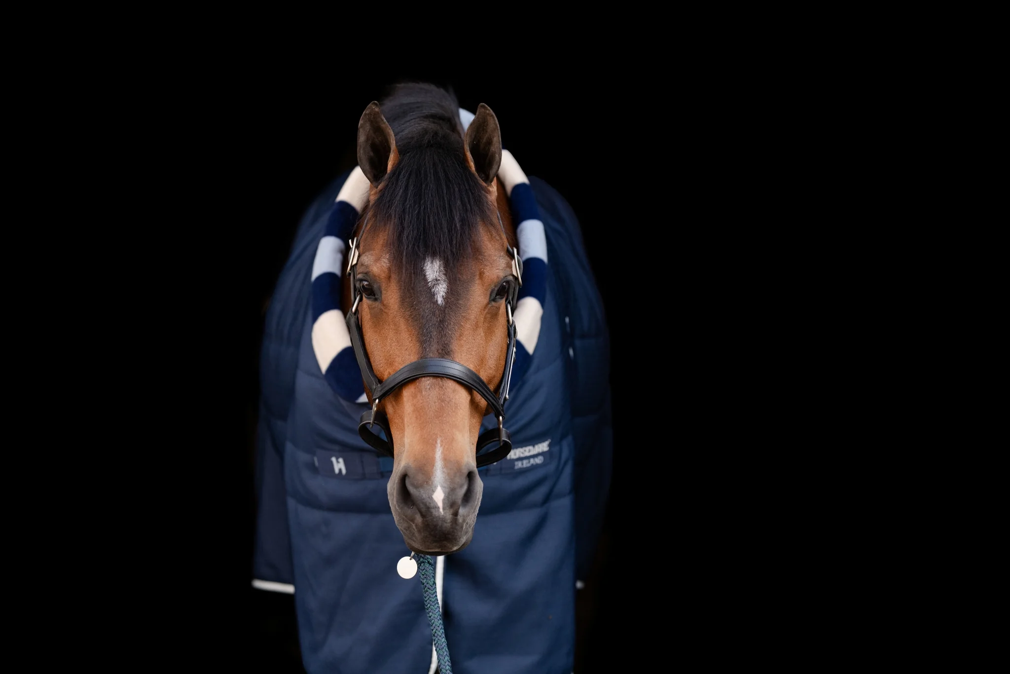 5322-horseware-newmarket-cozy-stable-100g-4.webp Horseware Newmarket Cozy Stable 100g