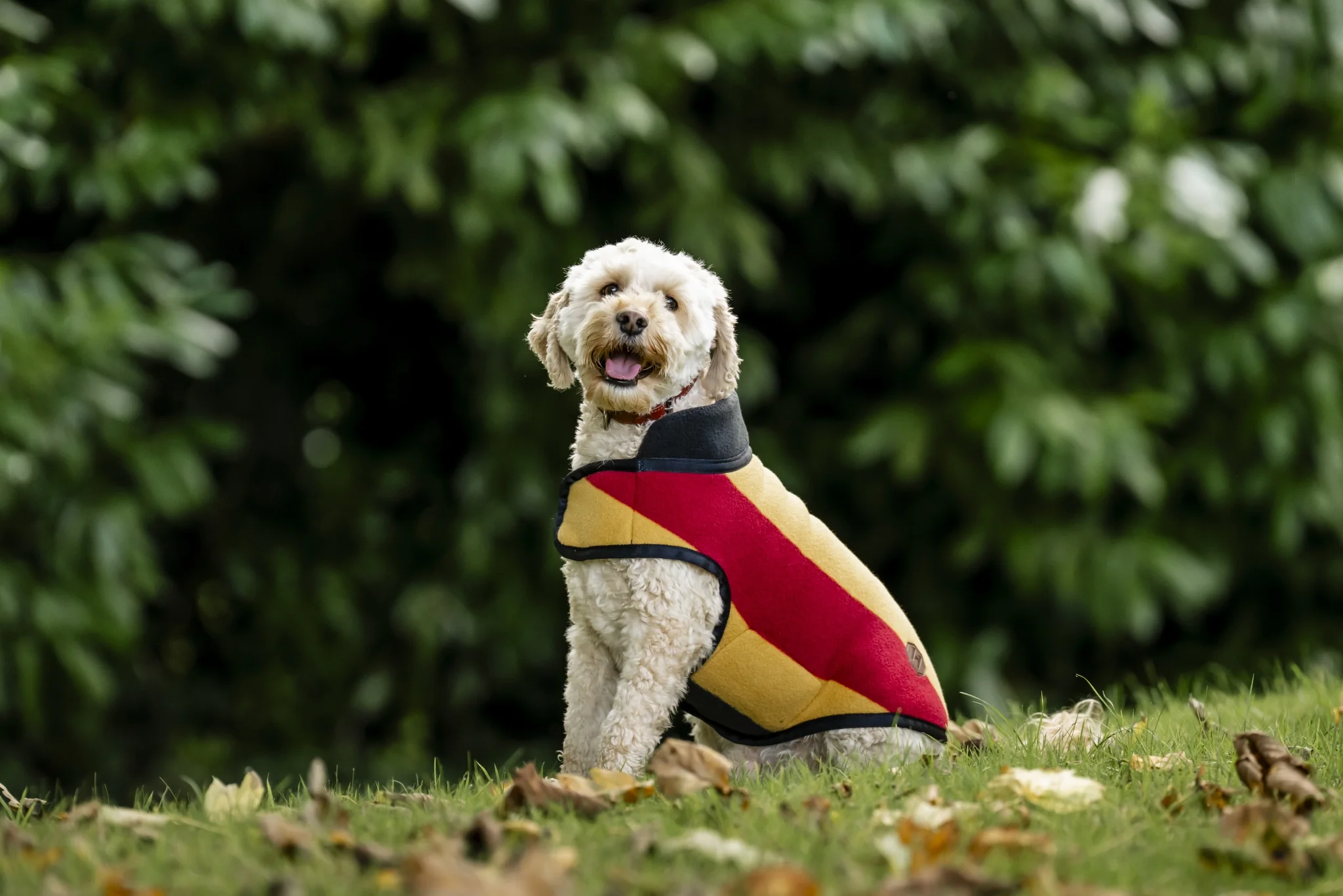 5353-horseware-newmarket-dog-fleece-1.webp Horseware Newmarket Dog Fleece