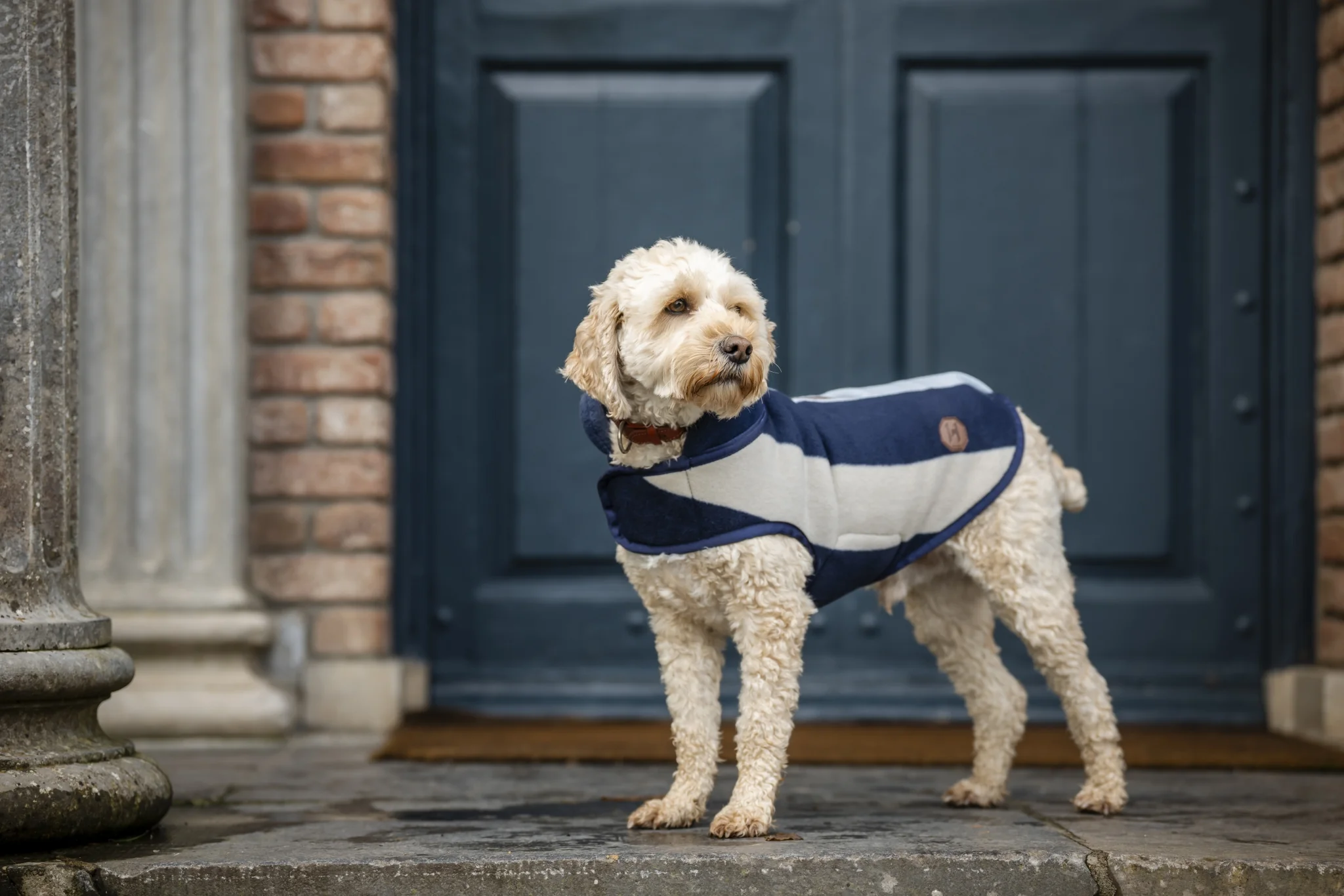 5353-horseware-newmarket-dog-fleece-2.webp Horseware Newmarket Dog Fleece