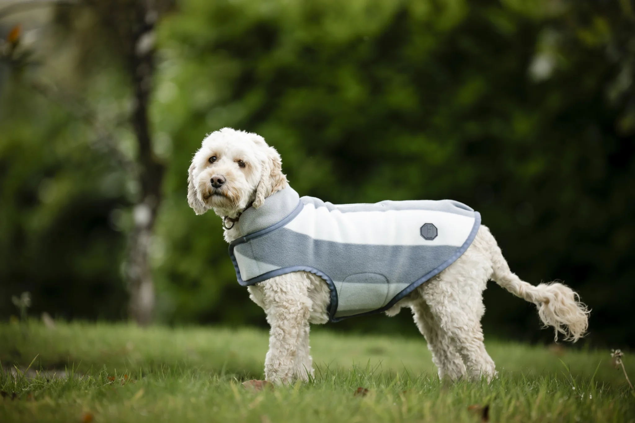5353-horseware-newmarket-dog-fleece-3.webp Horseware Newmarket Dog Fleece