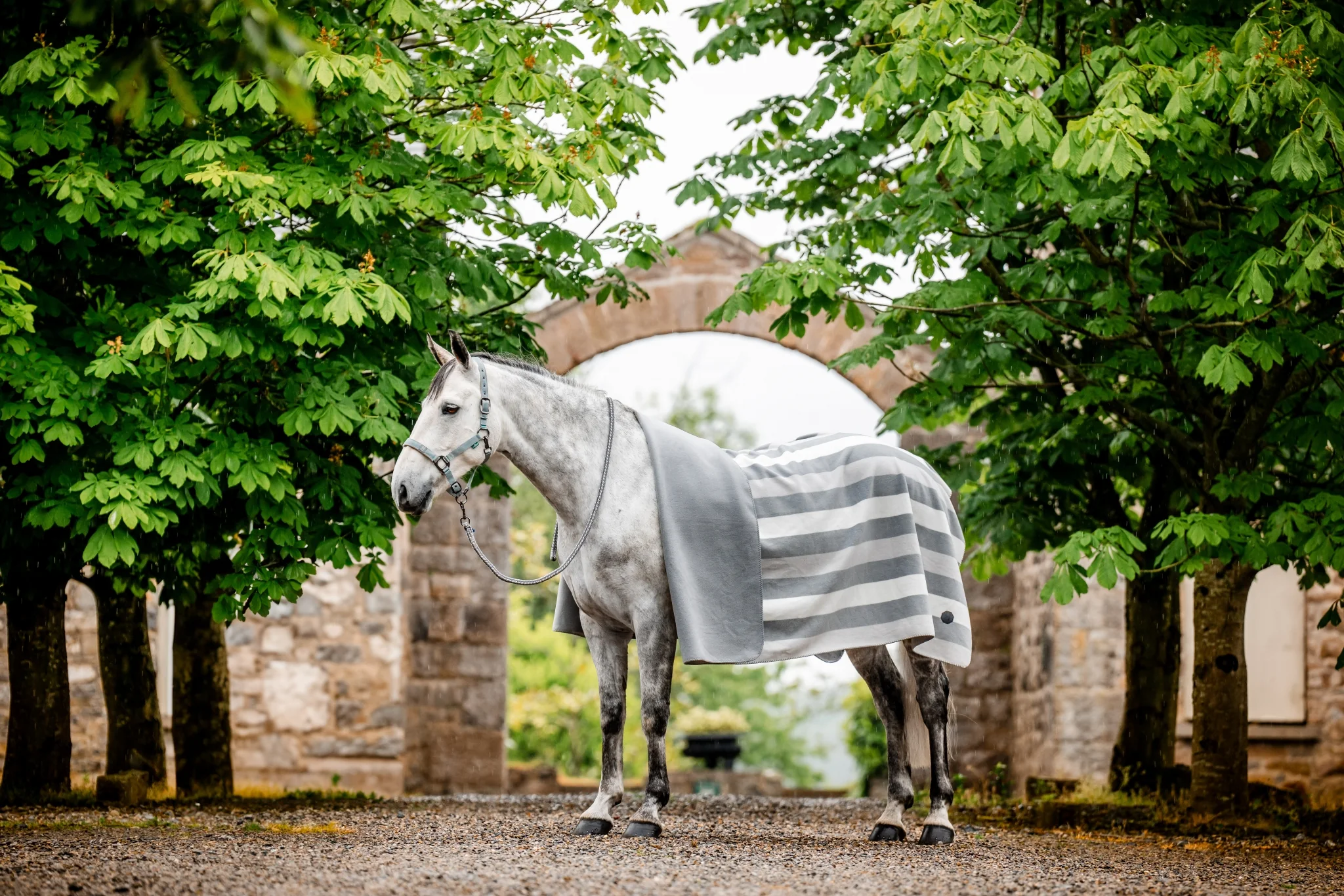 5400-horseware-newmarket-fleece-3.webp Horseware Newmarket Fleece