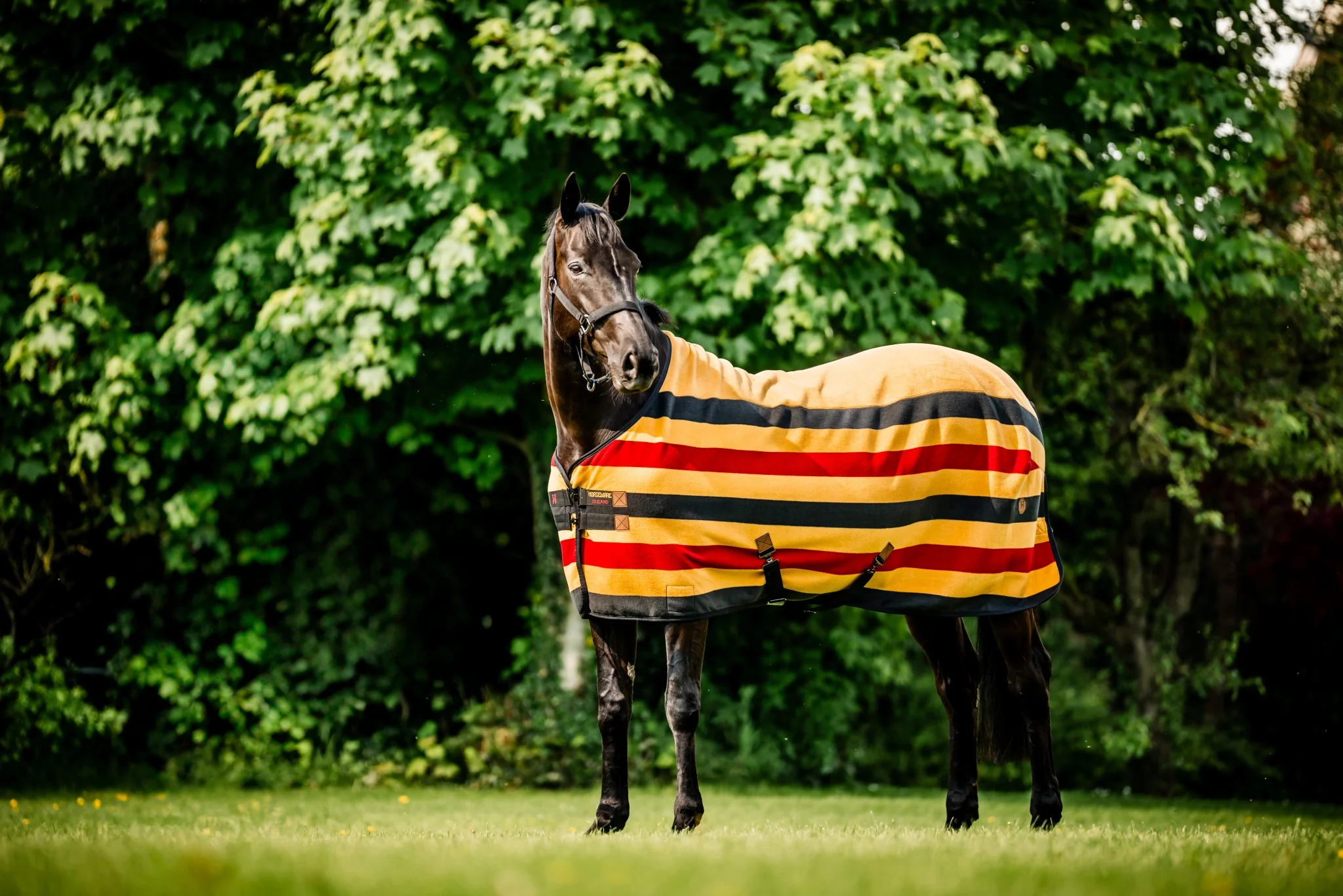 5409-horseware-newmarket-fleece-cooler-5.webp Horseware Newmarket Fleece Cooler