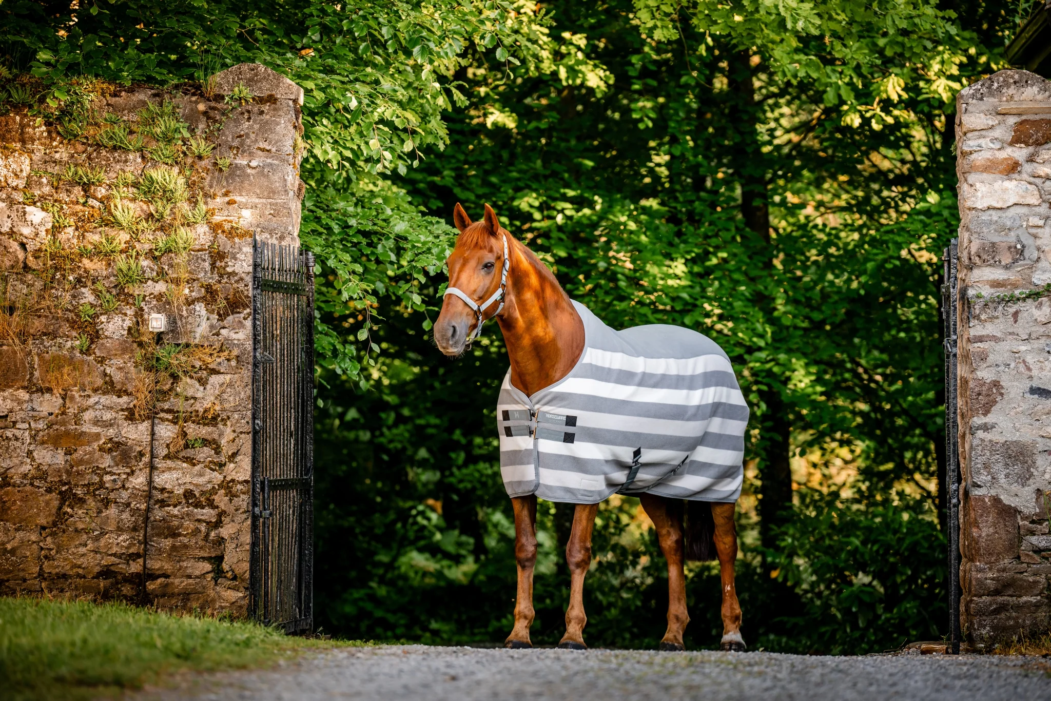 5409-horseware-newmarket-fleece-cooler-9.webp Horseware Newmarket Fleece Cooler