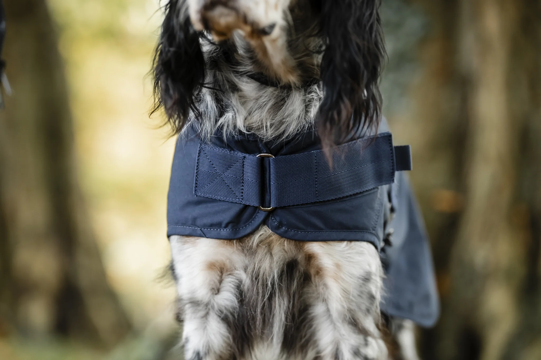 Horseware Newmarket Heritage Dog Coat